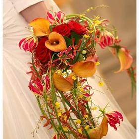 fwthumbcolourful Bride.jpg
